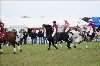 UKPA NC SAT_2769